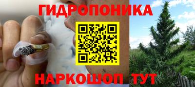 спайс Кимры