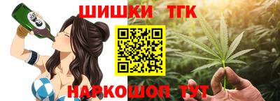 молекула духа Кингисепп