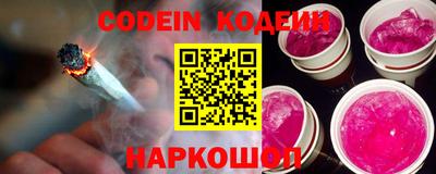 молекула духа Кингисепп